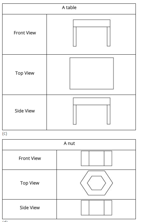 ncert-solutions-for-class-8-maths-chapter-10-visualising-solid-shapes-ex-10-1-q-9