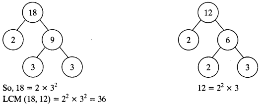 NCERT Solutions for Class 11 Mathematics Chapter 1 Real Numbers e2 7