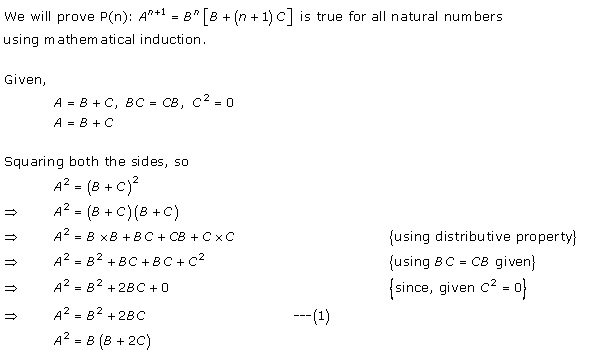 RD Sharma Class 12 Solutions Chapter 5 Algebra of Matrices Ex 5.3 Q56-i