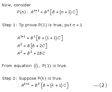 RD Sharma Class 12 Solutions Chapter 5 Algebra of Matrices Ex 5.3 Q56-ii