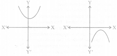 Class 10 Maths NCERT Solutions Chapter 2 Polynomials 5