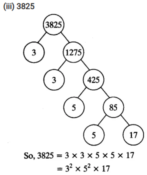 Real Numbers Class 10 Ex 1.2 Q 1 ii