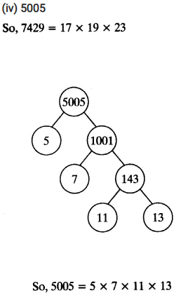 Real Numbers Class 10 Ex 1.2 Q 1 iii