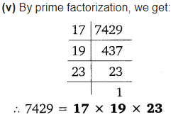 Real Numbers Class 10 Ex 1.2 Q 1 iv