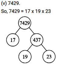 Real Numbers Class 10 Ex 1.2 Q 1 iv