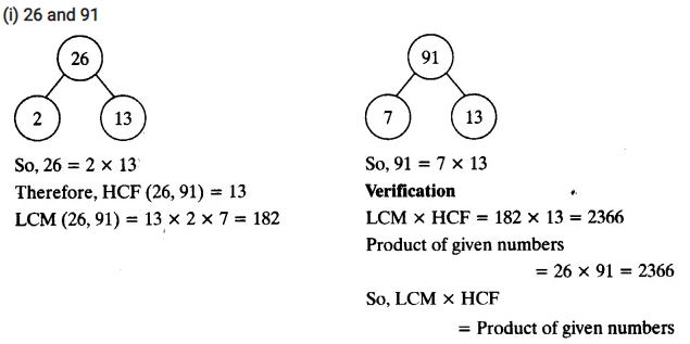 Real Numbers Class 10 Ex 1.2 Q 2