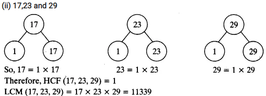 Real Numbers Class 10 Ex 1.2 Q 3 I