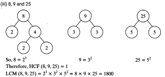 Real Numbers Class 10 Ex 1.2 Q 3 ii