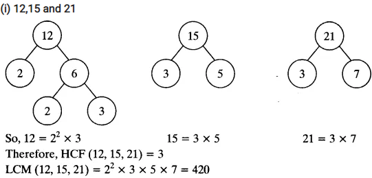 Real Numbers Class 10 Ex 1.2 Q 3