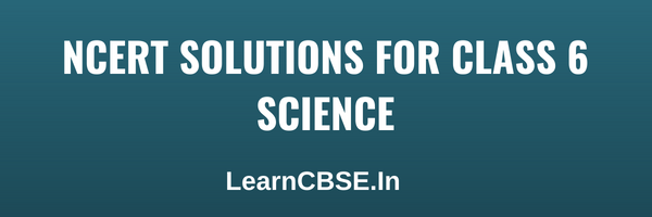 NCERT Solutions for Class 6 Science