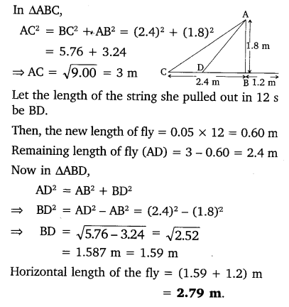 Chapter 6 Maths Class 10 Ex 6.6 NCERT Solutions PDF Q10