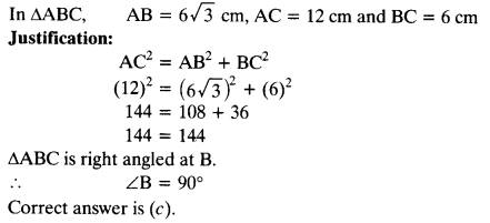 Class 10 Maths Chapter 6 Ex 6.5 NCERT Solutions PDF Q17