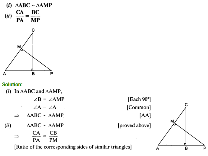 exercise 6.3 class 10