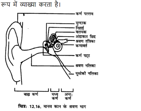 9 Science Chapter 12 Sound all question answers solved