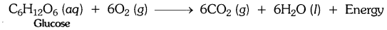 NCERT Solutions for Class 10 Science Chapter 1 Chemical Reactions and Equations Chapter End Questions Q10