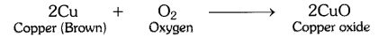 NCERT Solutions for Class 10 Science Chapter 1 Chemical Reactions and Equations Chapter End Questions Q17