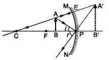 NCERT Solutions for Class 10 Science Chapter 10 Light Reflection and Refraction Chapter End Questions Q7