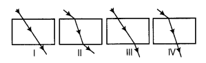 NCERT Solutions for Class 10 Science Chapter 10 Light Reflection and Refraction MCQs Q16