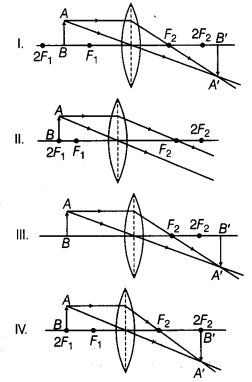 NCERT Solutions for Class 10 Science Chapter 10 Light Reflection and Refraction MCQs Q5.1