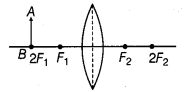 NCERT Solutions for Class 10 Science Chapter 10 Light Reflection and Refraction MCQs Q5