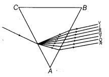 NCERT Solutions for Class 10 Science Chapter 11 Human Eye and Colourful World MCQs Q8.1