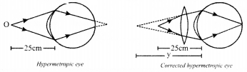 NCERT Solutions for Class 10 Science Chapter 11 Human Eye and Colourful World Mind Map 2