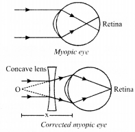 NCERT Solutions for Class 10 Science Chapter 11 Human Eye and Colourful World Mind Map 3