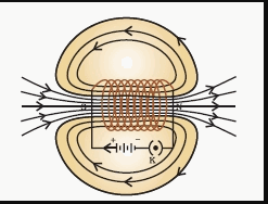 NCERT Solutions for Class 10 Science Chapter 13 Magnetic Effects of Electric Current Q29