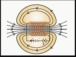 NCERT Solutions for Class 10 Science Chapter 13 Magnetic Effects of Electric Current Q6