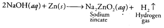 NCERT Solutions for Class 10 Science Chapter 2 Acids, Bases and Salts MCQs Q6