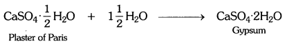NCERT Solutions for Class 10 Science Chapter 2 Acids, Bases and Salts Page 33 Q5