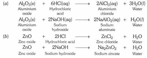 NCERT Solutions for Class 10 Science Chapter 3 Metals and Non-metals Chapter End Questions Q6