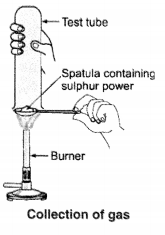 NCERT Solutions for Class 10 Science Chapter 3 Metals and Non-metals Chapter End Questions Q9