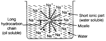 NCERT Solutions for Class 10 Science Chapter 4 Carbon and its Compounds MCQs Q15