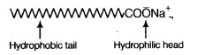 NCERT Solutions for Class 10 Science Chapter 4 Carbon and its Compounds MCQs Q4