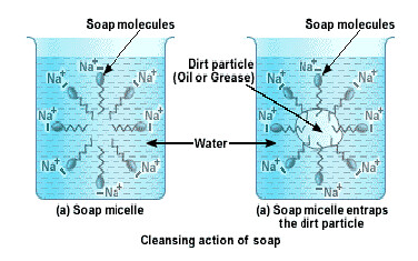 NCERT Solutions for Class 10 Science Chapter 4 Carbon and its Compounds Q22