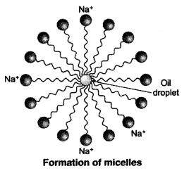 NCERT Solutions for Class 10 Science Chapter 4 Textbook Chapter End Questions Q15