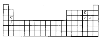 NCERT Solutions for Class 10 Science Chapter 5 Periodic Classification of Elements Q24