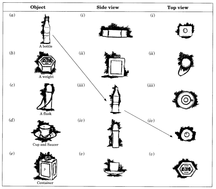 NCERT Solutions for Class 8 Maths Chapter 10 Visualising Solid Shapes Ex 10.1 Q1