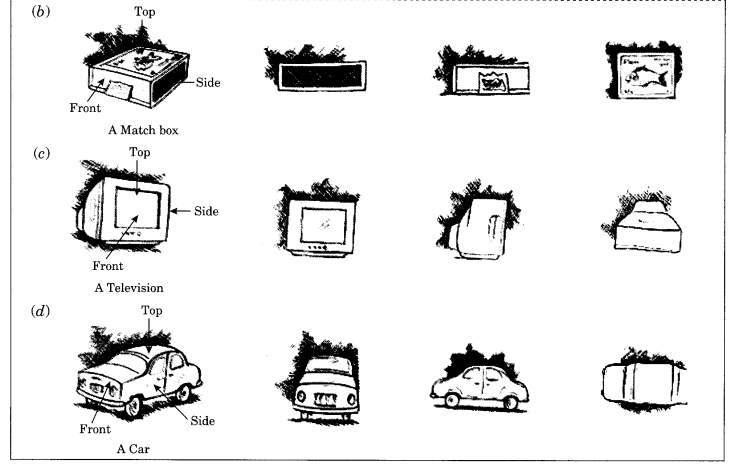 NCERT Solutions for Class 8 Maths Chapter 10 Visualising Solid Shapes Ex 10.1 Q2.1