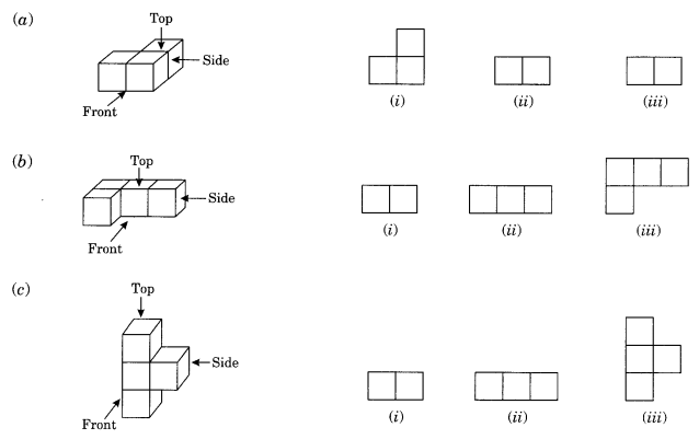 NCERT Solutions for Class 8 Maths Chapter 10 Visualising Solid Shapes Ex 10.1 Q3