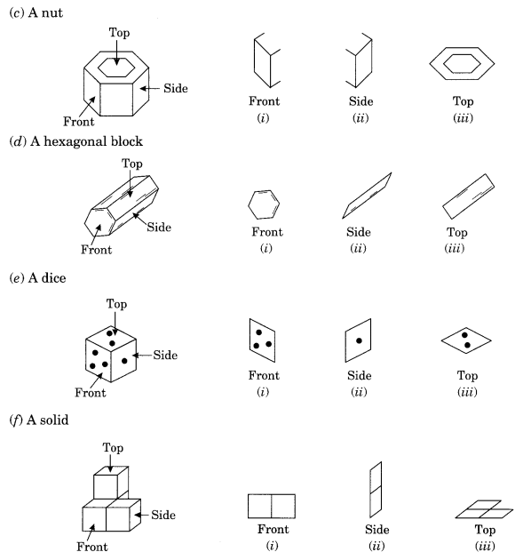 NCERT Solutions for Class 8 Maths Chapter 10 Visualising Solid Shapes Ex 10.1 Q4.2