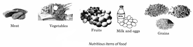 NCERT Solutions for Class 8 Science Chapter 10 Reaching The Age of Adolescence Activity 5