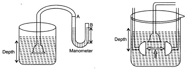 NCERT Solutions for Class 8 Science Chapter 11 Force and Pressure 5 Marks Q10
