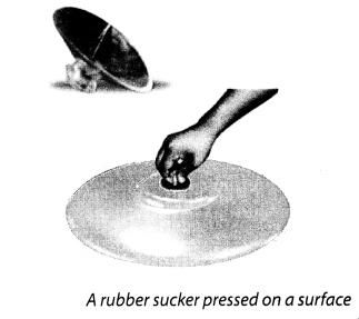 NCERT Solutions for Class 8 Science Chapter 11 Force and Pressure Activity 11