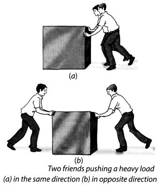 NCERT Solutions for Class 8 Science Chapter 11 Force and Pressure Activity 2