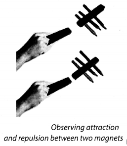 NCERT Solutions for Class 8 Science Chapter 11 Force and Pressure Activity 6