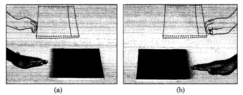 NCERT Solutions for Class 8 Science Chapter 12 Friction Activity 1