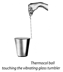 NCERT Solutions for Class 8 Science Chapter 13 Sound Activity 11