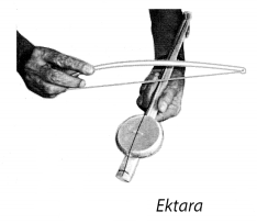 NCERT Solutions for Class 8 Science Chapter 13 Sound Activity 4